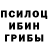 Псилоцибиновые грибы мицелий Tess Adams