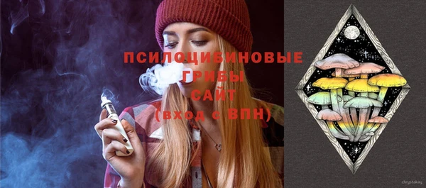 первитин Армянск