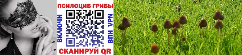 Псилоцибиновые грибы MAGIC MUSHROOMS  где можно купить   Хвалынск 